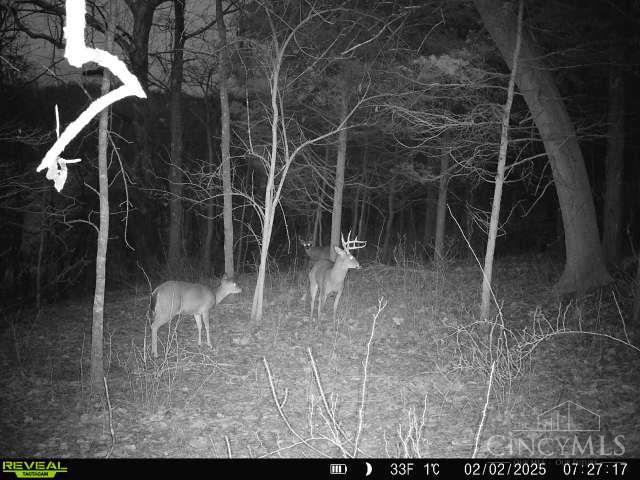 19320 Duck Creek Road, Metamora, IN, 47030 — photo 91