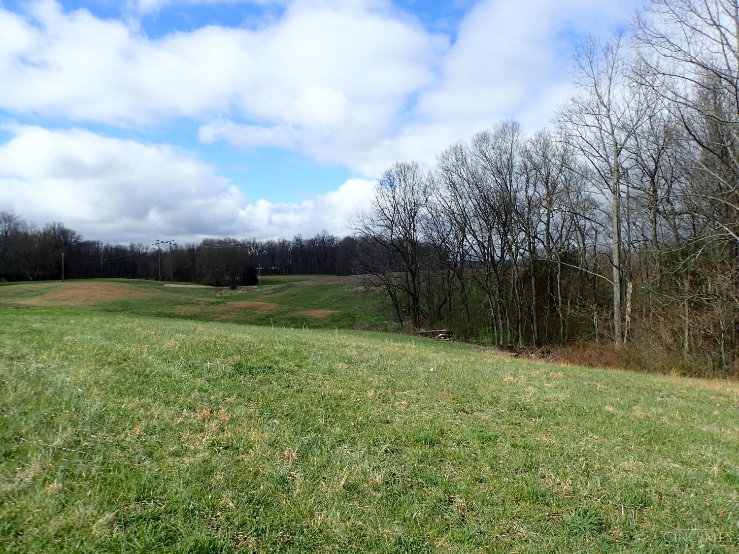 14071 Goodner Road, Dillsboro, IN, 47018 — photo 41