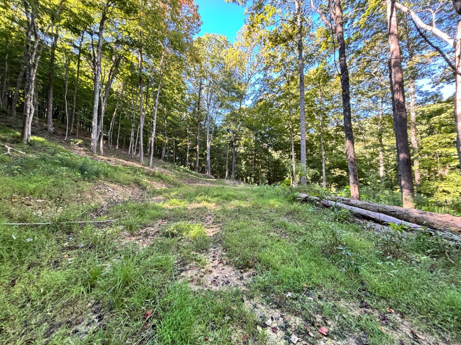 Coon Hollow Road, Lucasville, OH, 45648 — photo 9