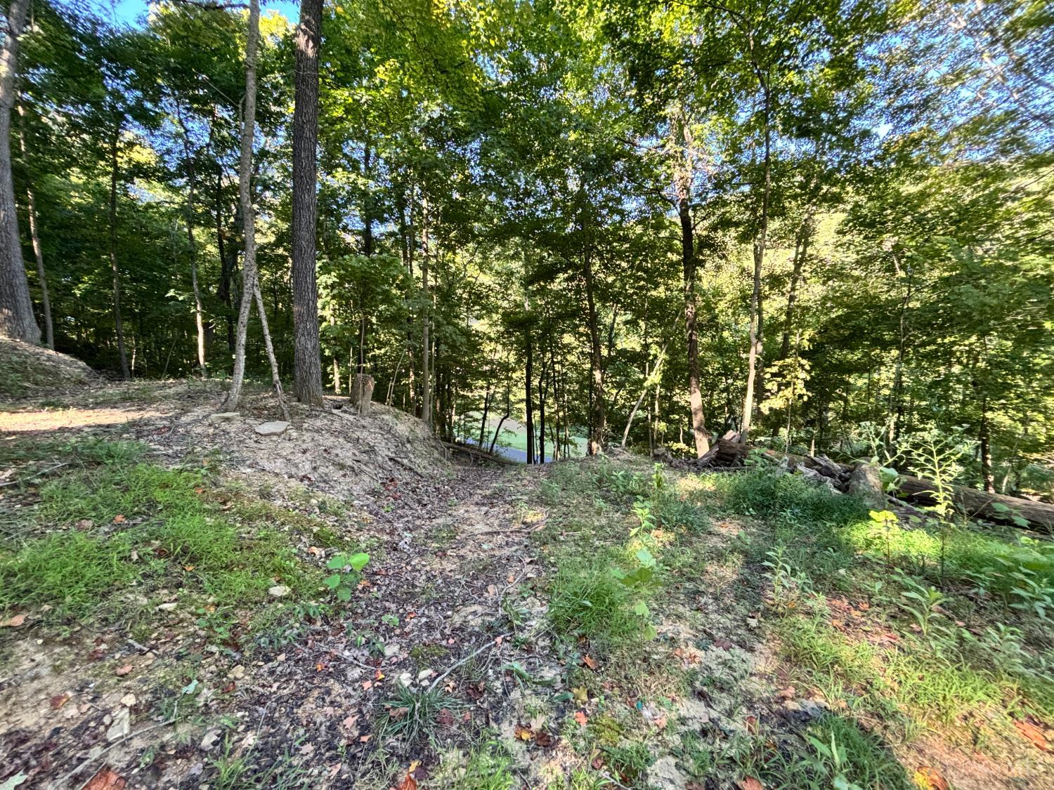Coon Hollow Road, Lucasville, OH, 45648 — photo 11