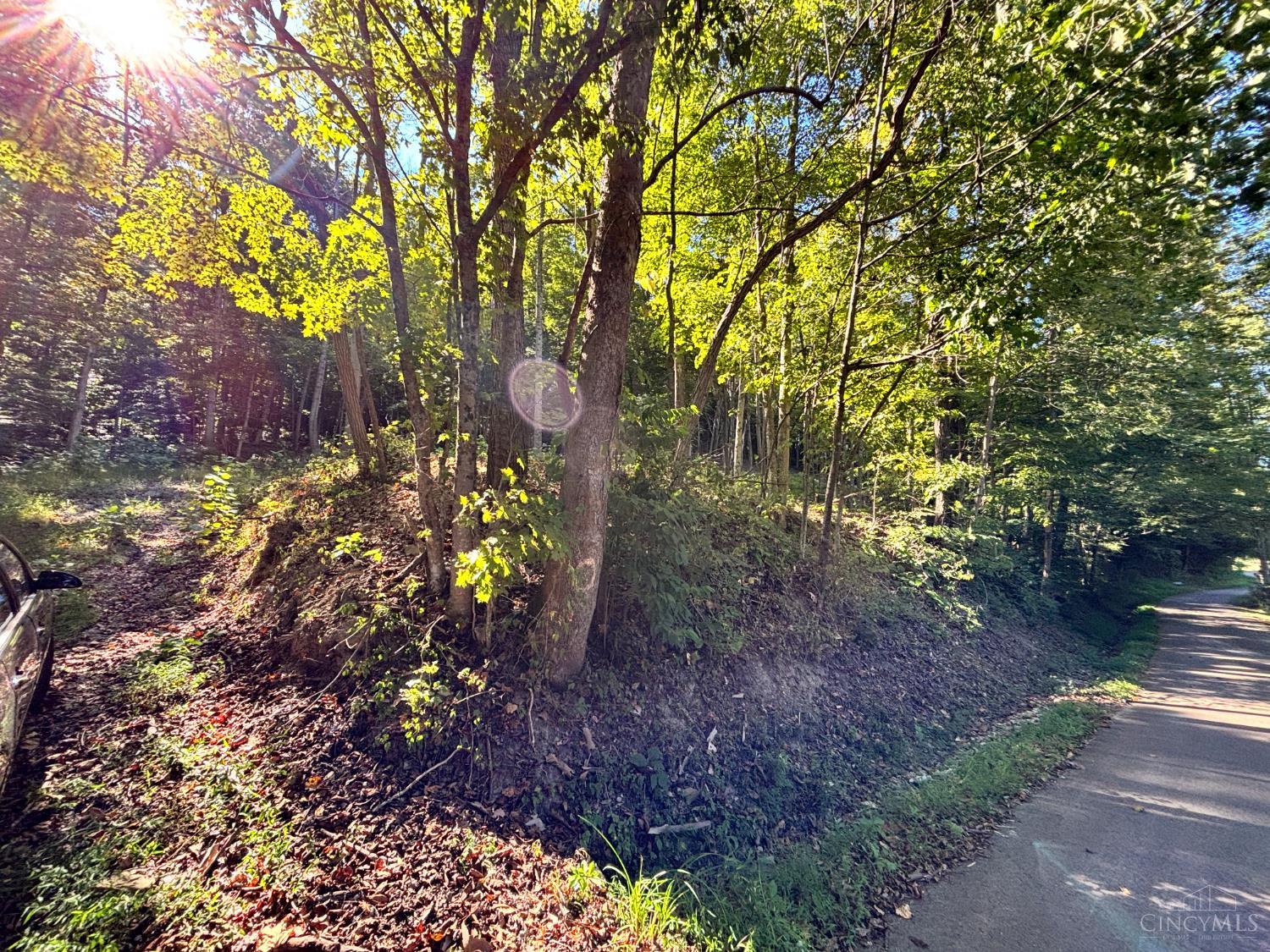Coon Hollow Road, Lucasville, OH, 45648 — photo 2
