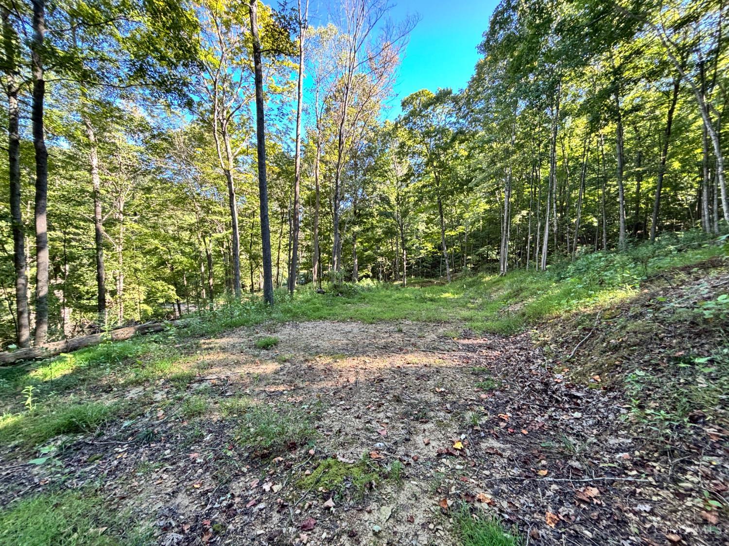 Coon Hollow Road, Lucasville, OH, 45648 — photo 12