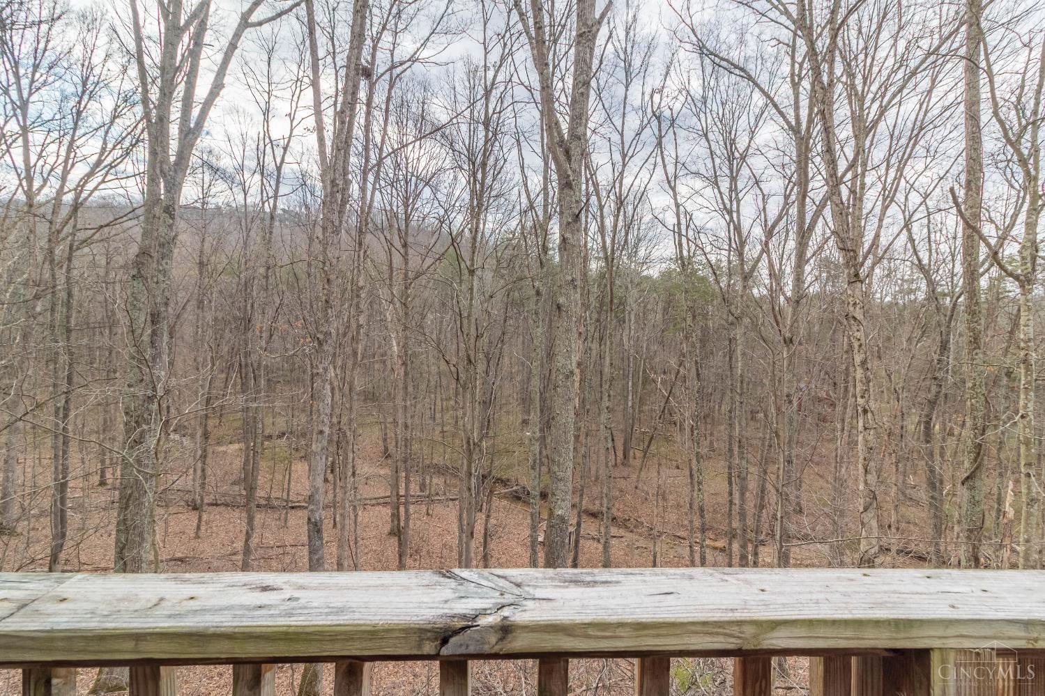 1620 Coffee Hollow Road, Peebles, OH, 45660 — photo 32