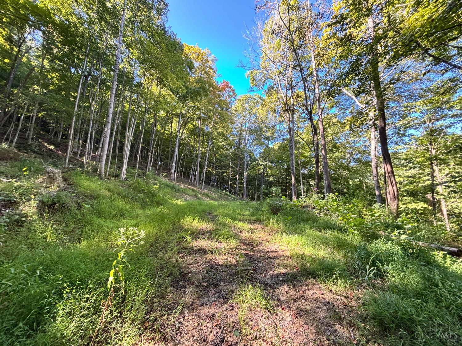 Coon Hollow Road, Lucasville, OH, 45648 — photo 8