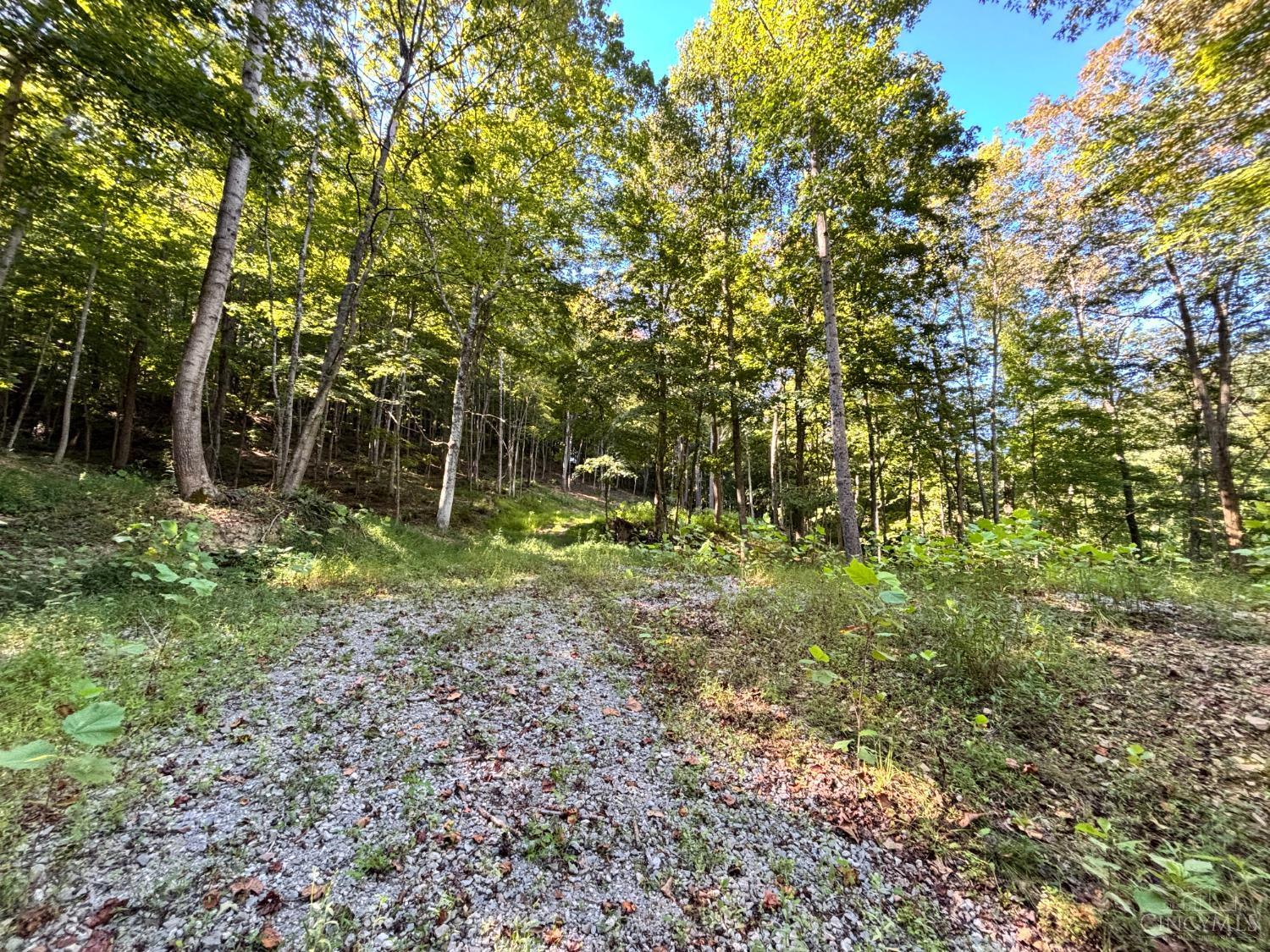 Coon Hollow Road, Lucasville, OH, 45648 — photo 5