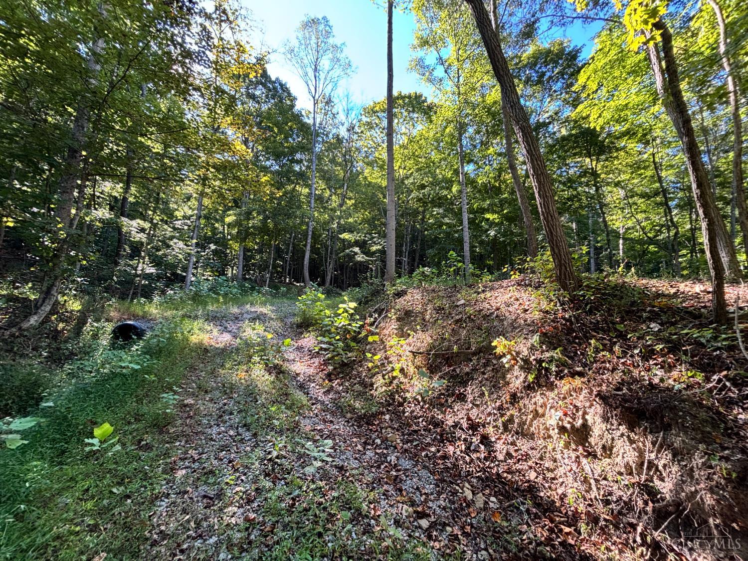 Coon Hollow Road, Lucasville, OH, 45648 — photo 3