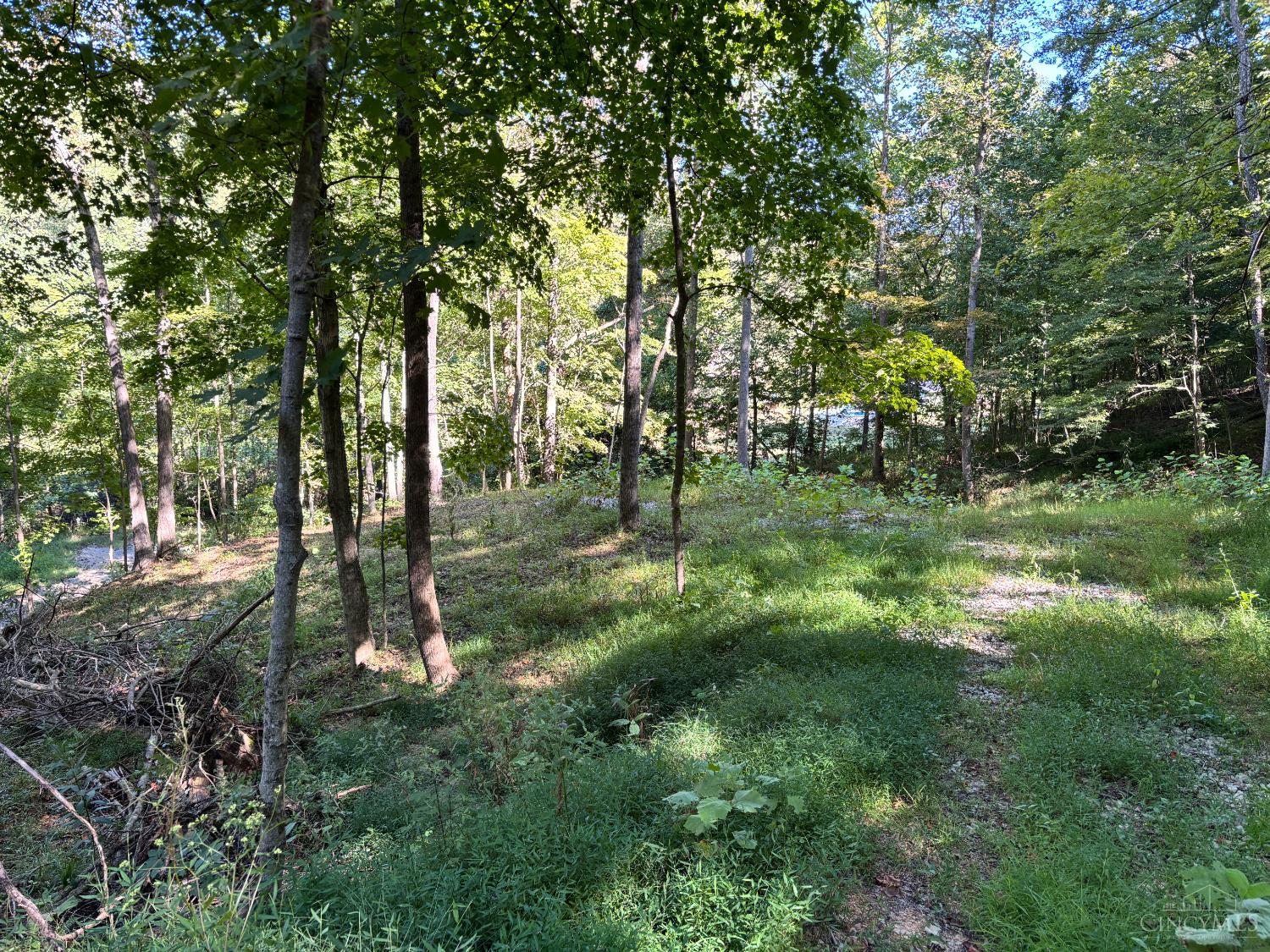 Coon Hollow Road, Lucasville, OH, 45648 — photo 14
