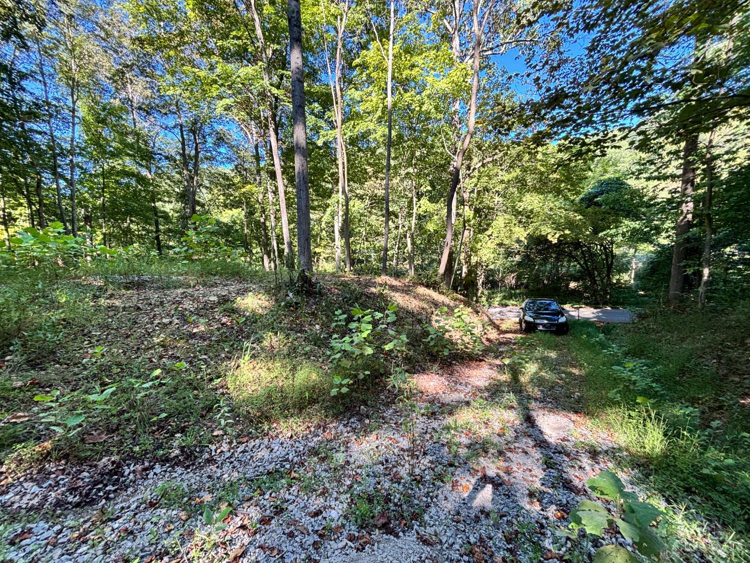 Coon Hollow Road, Lucasville, OH, 45648 — photo 6
