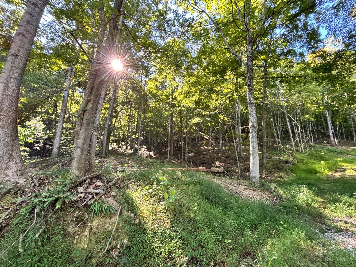 Coon Hollow Road, Lucasville, OH, 45648 — photo 7