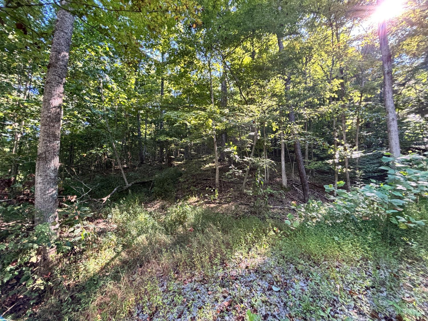 Coon Hollow Road, Lucasville, OH, 45648 — photo 4