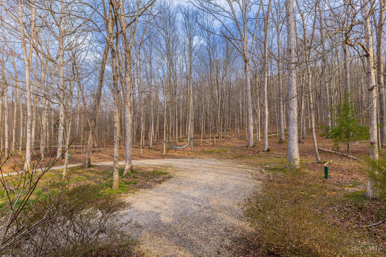 1620 Coffee Hollow Road, Peebles, OH, 45660 — photo 16
