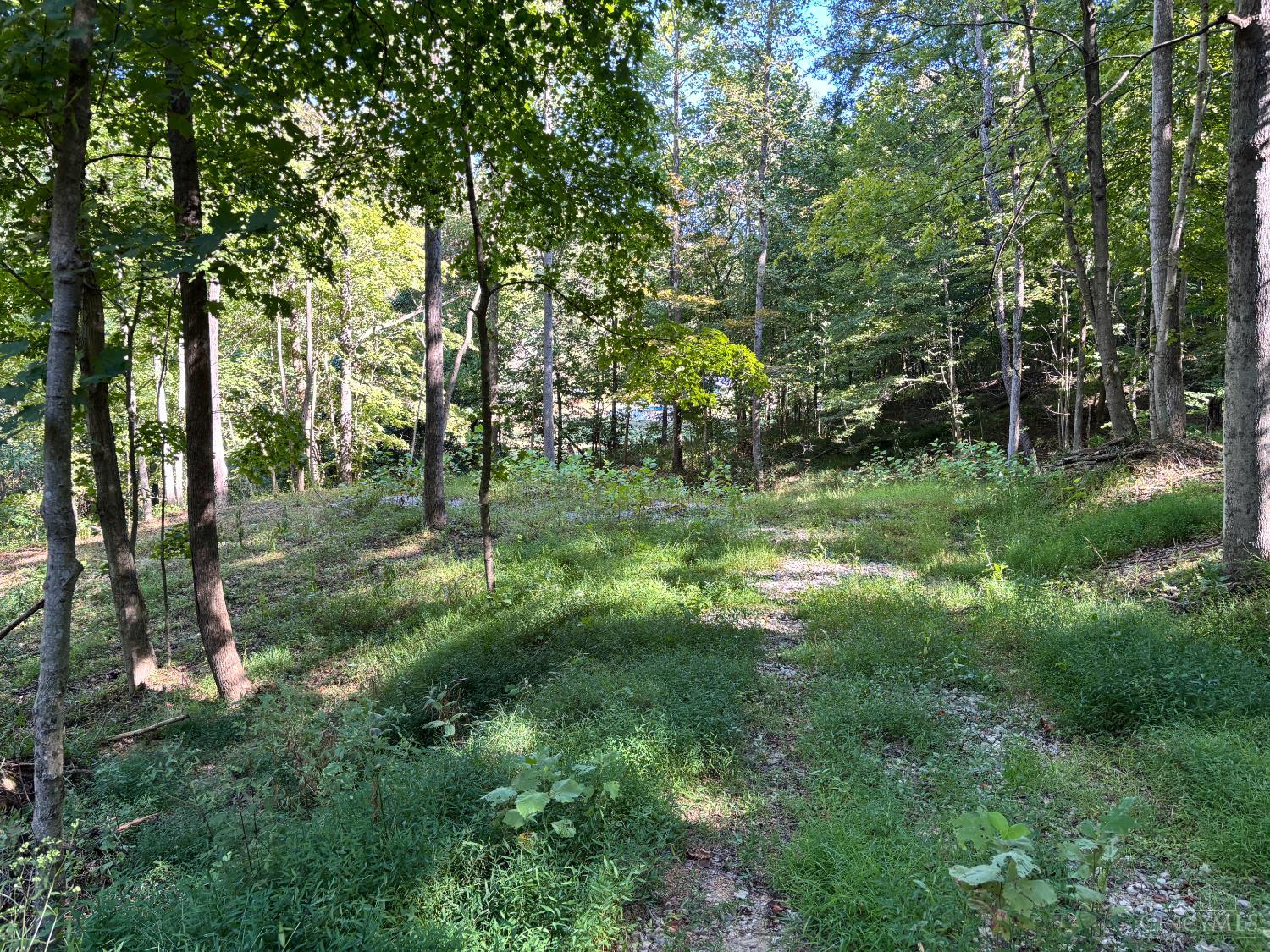 Coon Hollow Road, Lucasville, OH, 45648 — photo 13