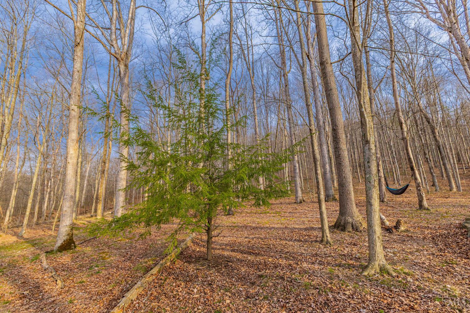1620 Coffee Hollow Road, Peebles, OH, 45660 — photo 67