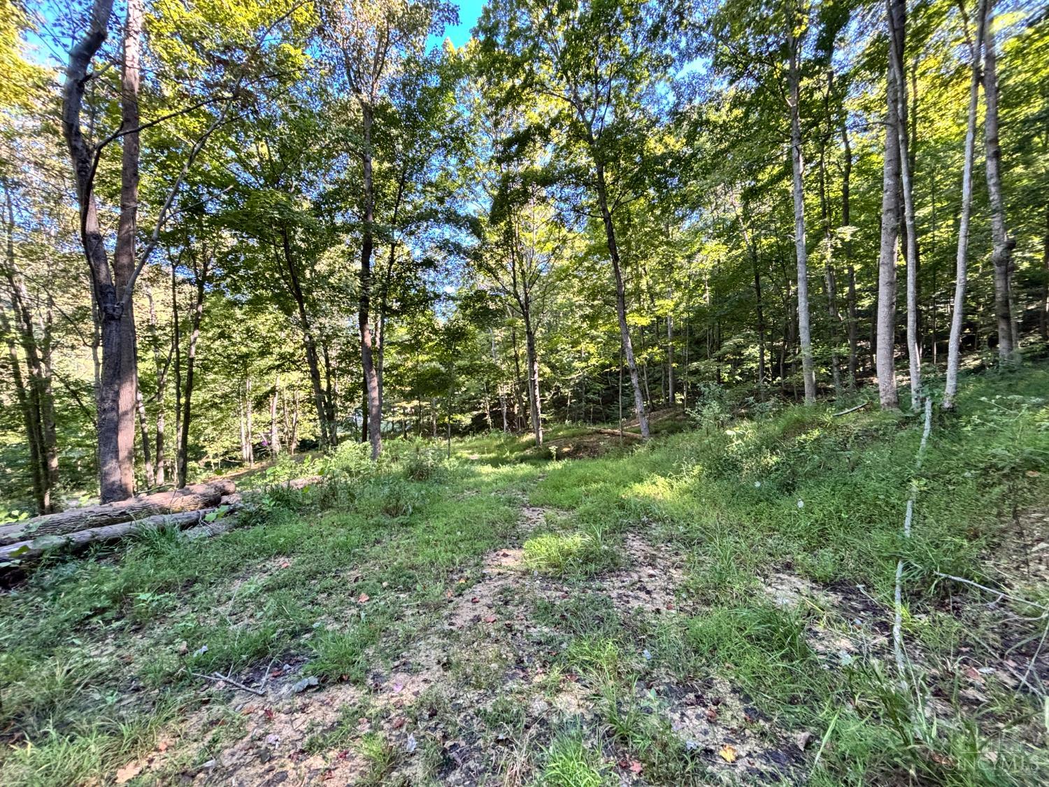 Coon Hollow Road, Lucasville, OH, 45648 — photo 10