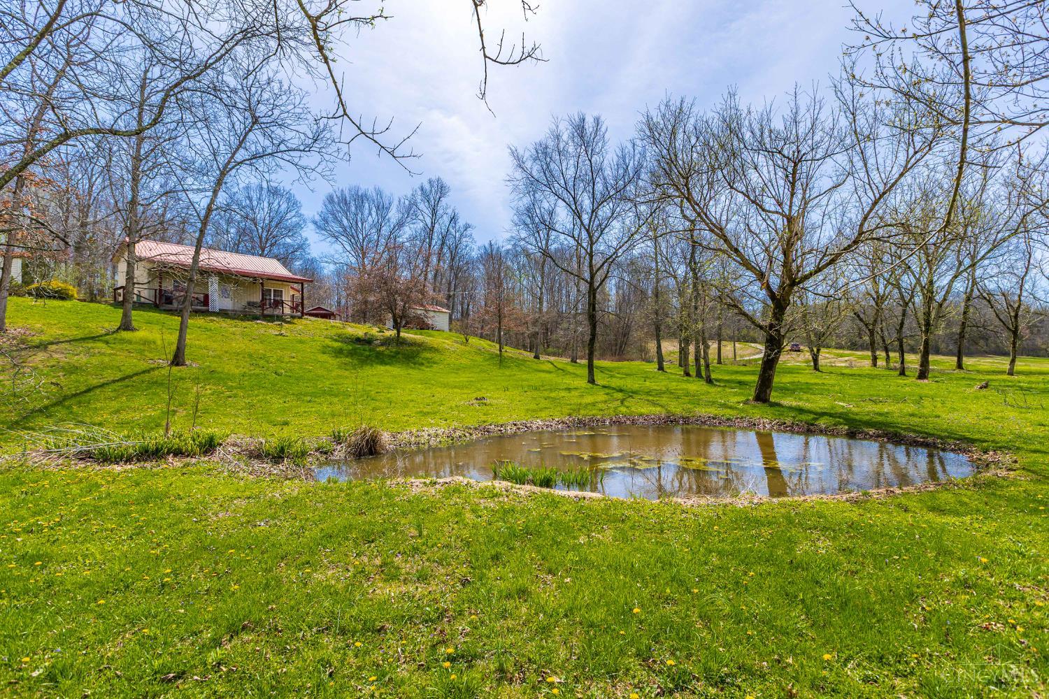 619 Seaman Road, Peebles, OH, 45660 — photo 4