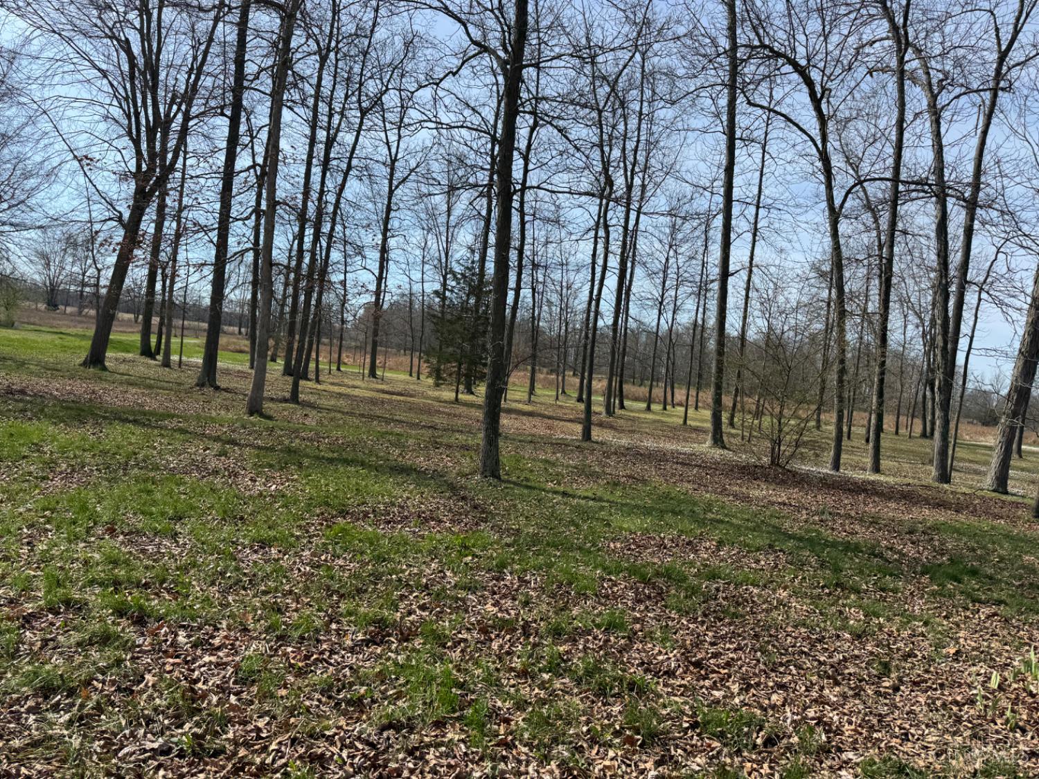 7212 George Faul Road, Washington Twp, OH, 45171 — photo 87