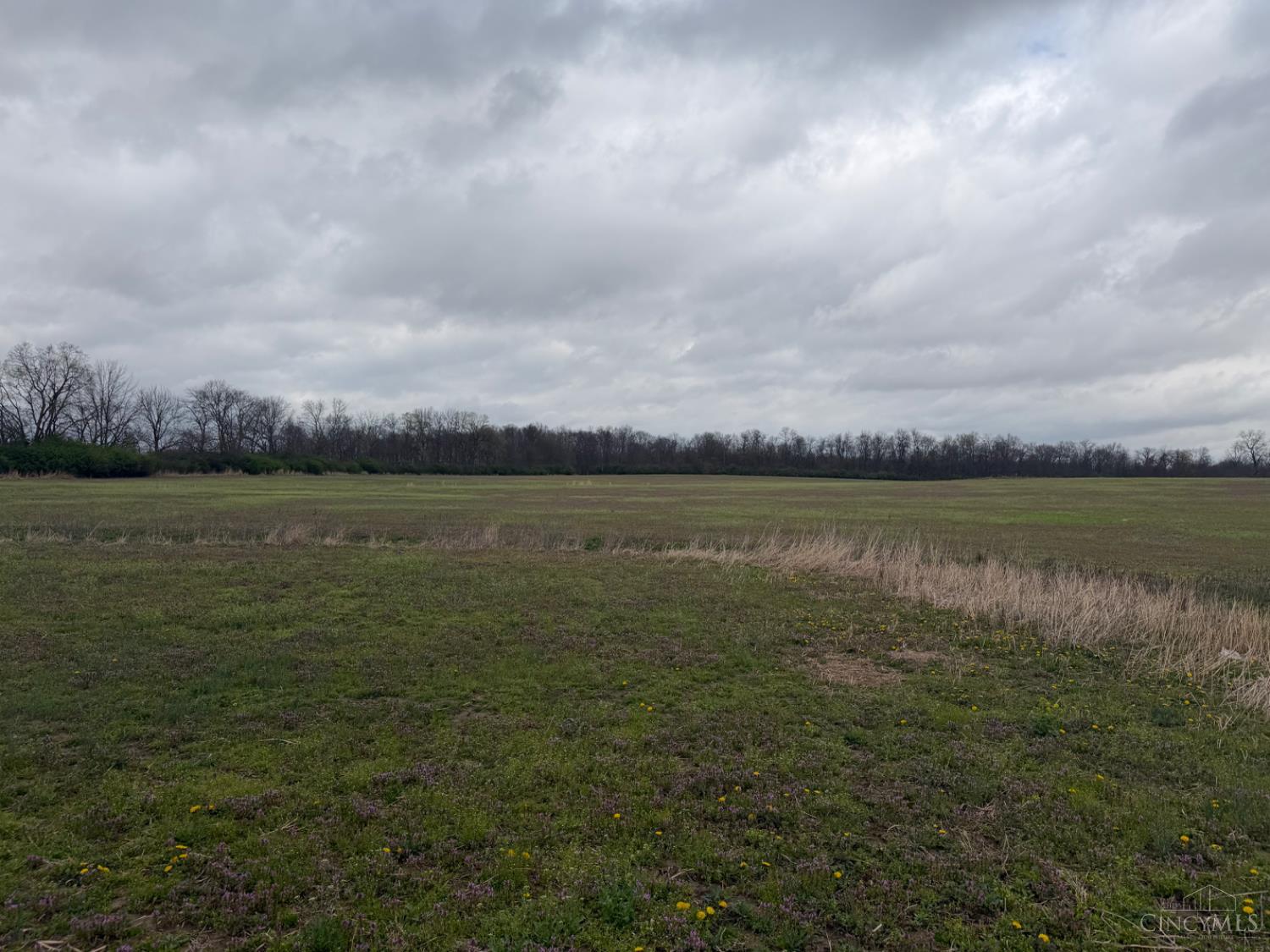 Center Road, Union Twp, OH, 45177 — photo 5