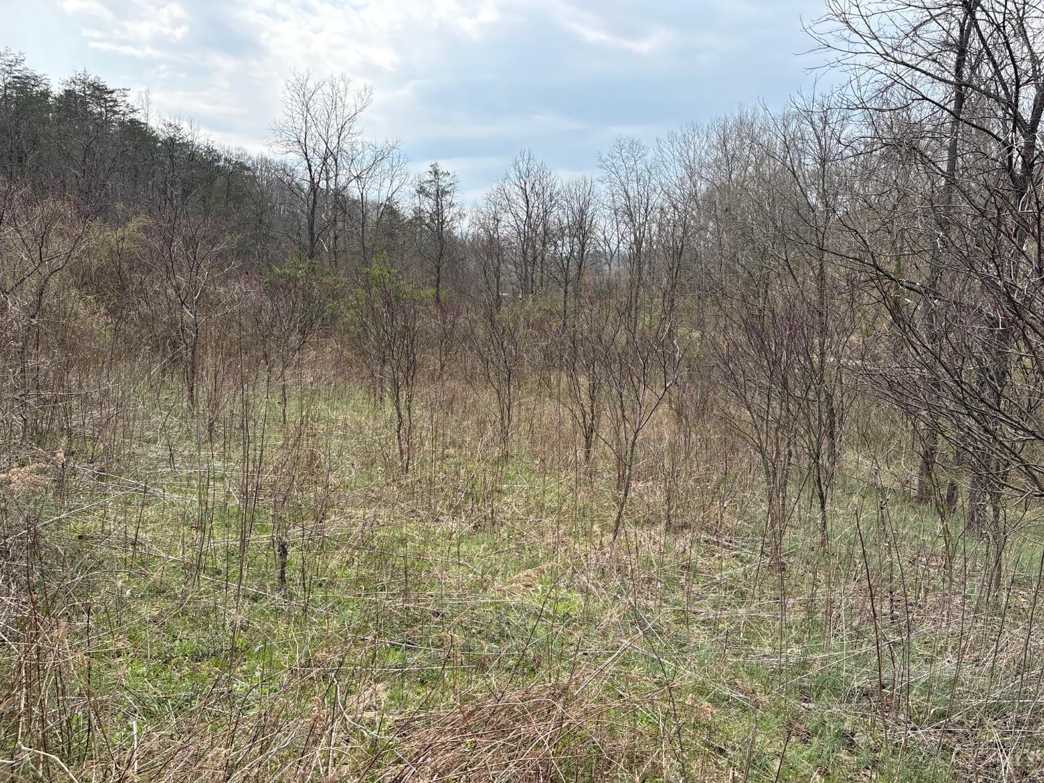 Township Rd 319, Willow Wood, OH, 45696 — photo 7