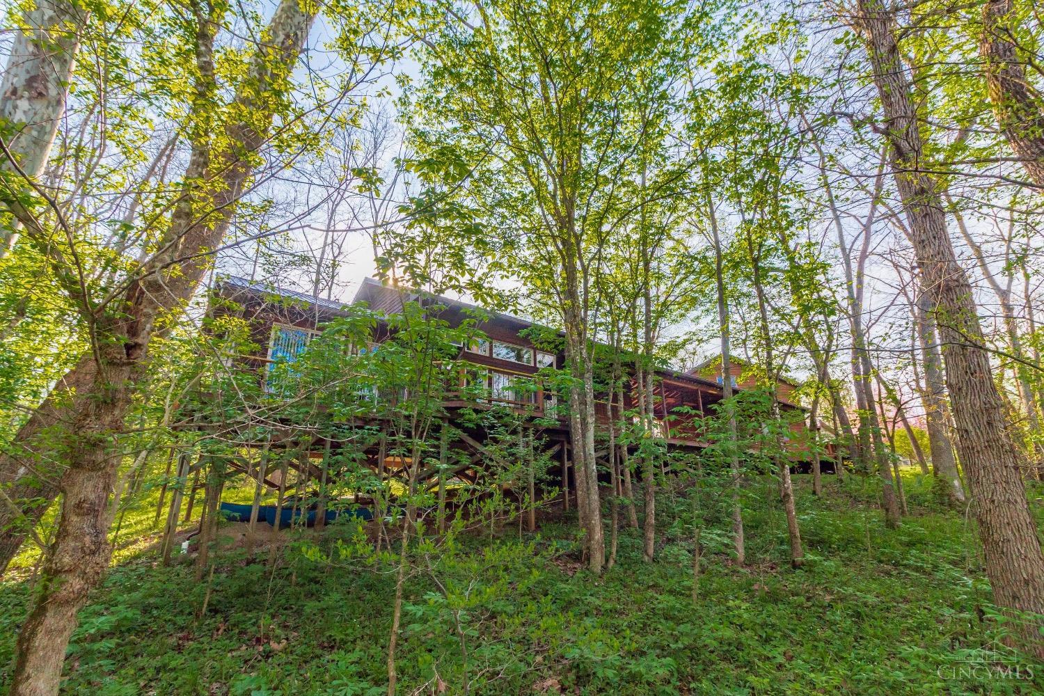 1225 Stoney Road, Peebles, OH, 45660 — photo 51