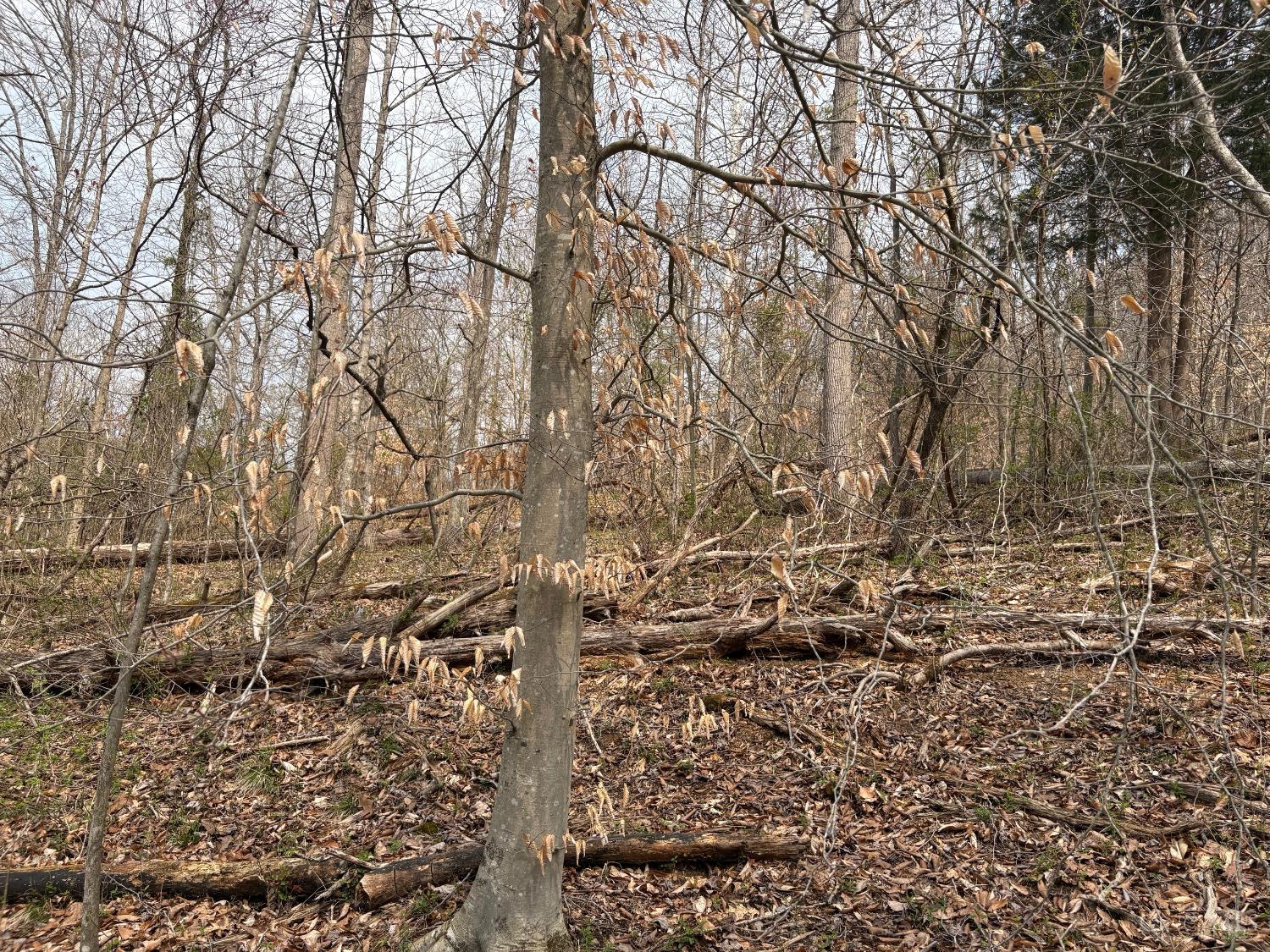 Township Rd 319, Willow Wood, OH, 45696 — photo 14