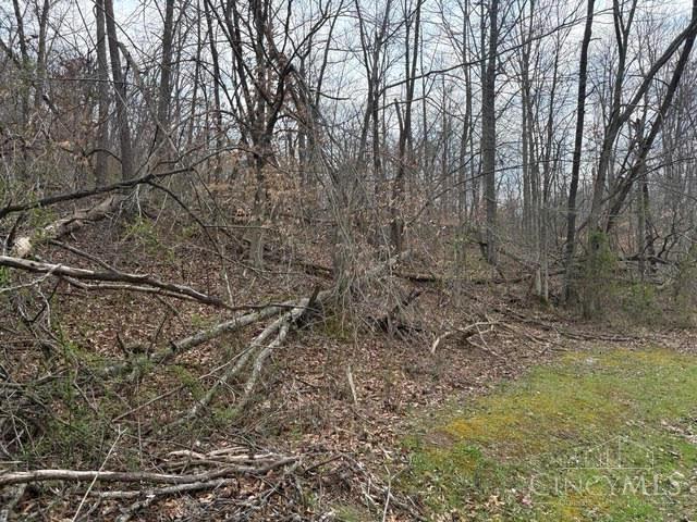 Township Rd 319, Willow Wood, OH, 45696 — photo 11