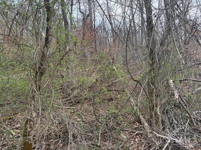 Township Rd 319, Willow Wood, OH, 45696 — photo 10