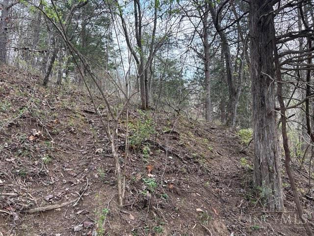Township Rd 319, Willow Wood, OH, 45696 — photo 18