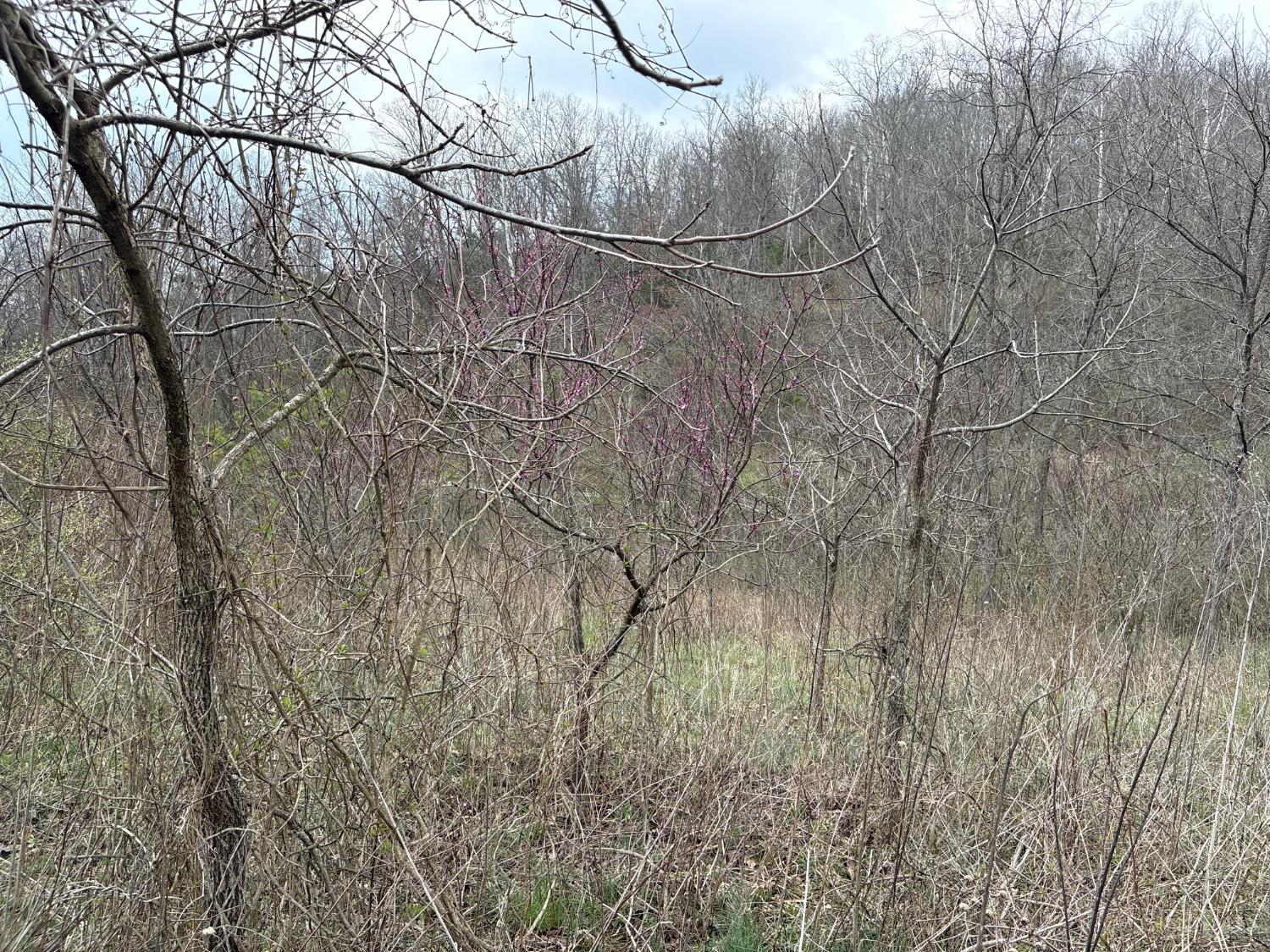 Township Rd 319, Willow Wood, OH, 45696 — photo 6
