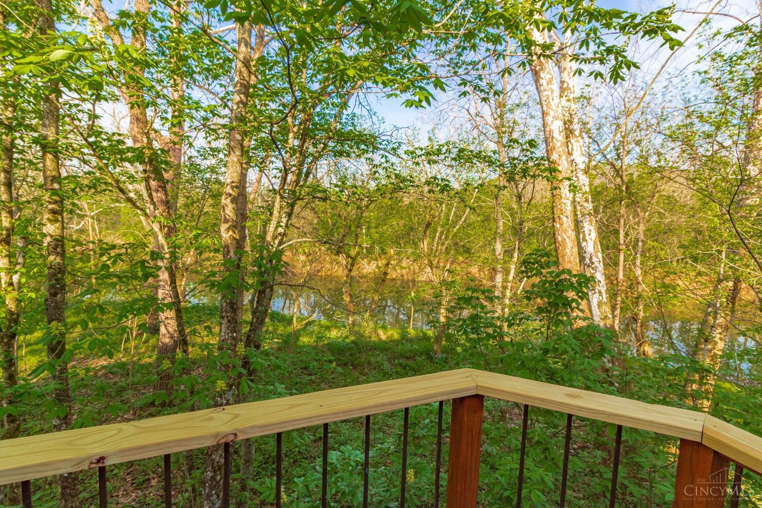 1225 Stoney Road, Peebles, OH, 45660 — photo 31