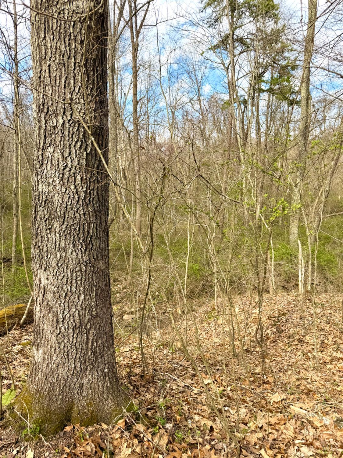 Fyffe Hollow Road, Franklin Twp, OH, 45601 — photo 8