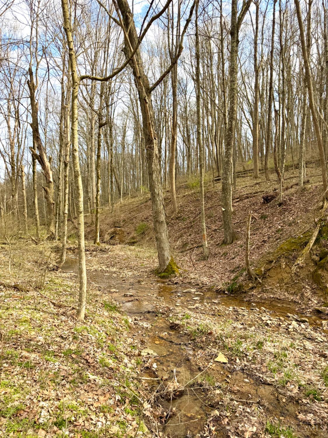 Fyffe Hollow Road, Franklin Twp, OH, 45601 — photo 13