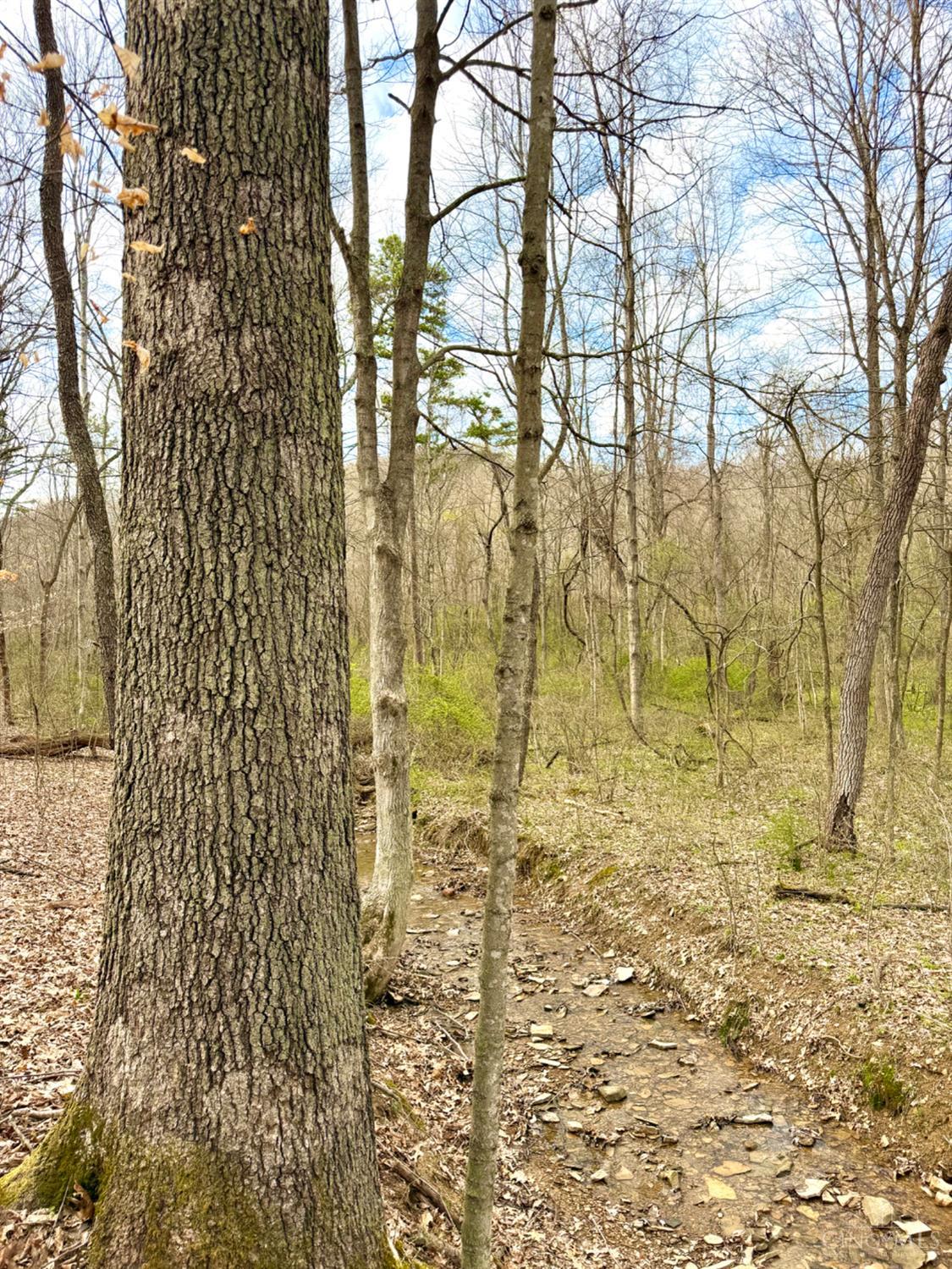 Fyffe Hollow Road, Franklin Twp, OH, 45601