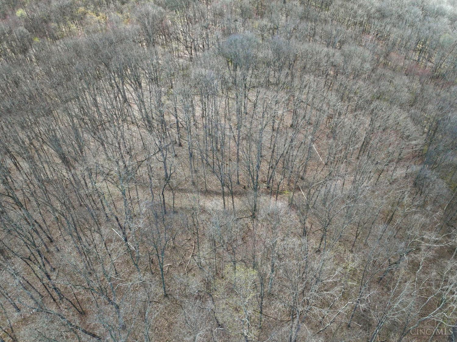 Fyffe Hollow Road, Franklin Twp, OH, 45601 — photo 36