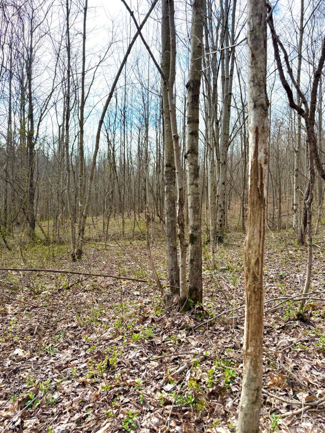 Fyffe Hollow Road, Franklin Twp, OH, 45601 — photo 59