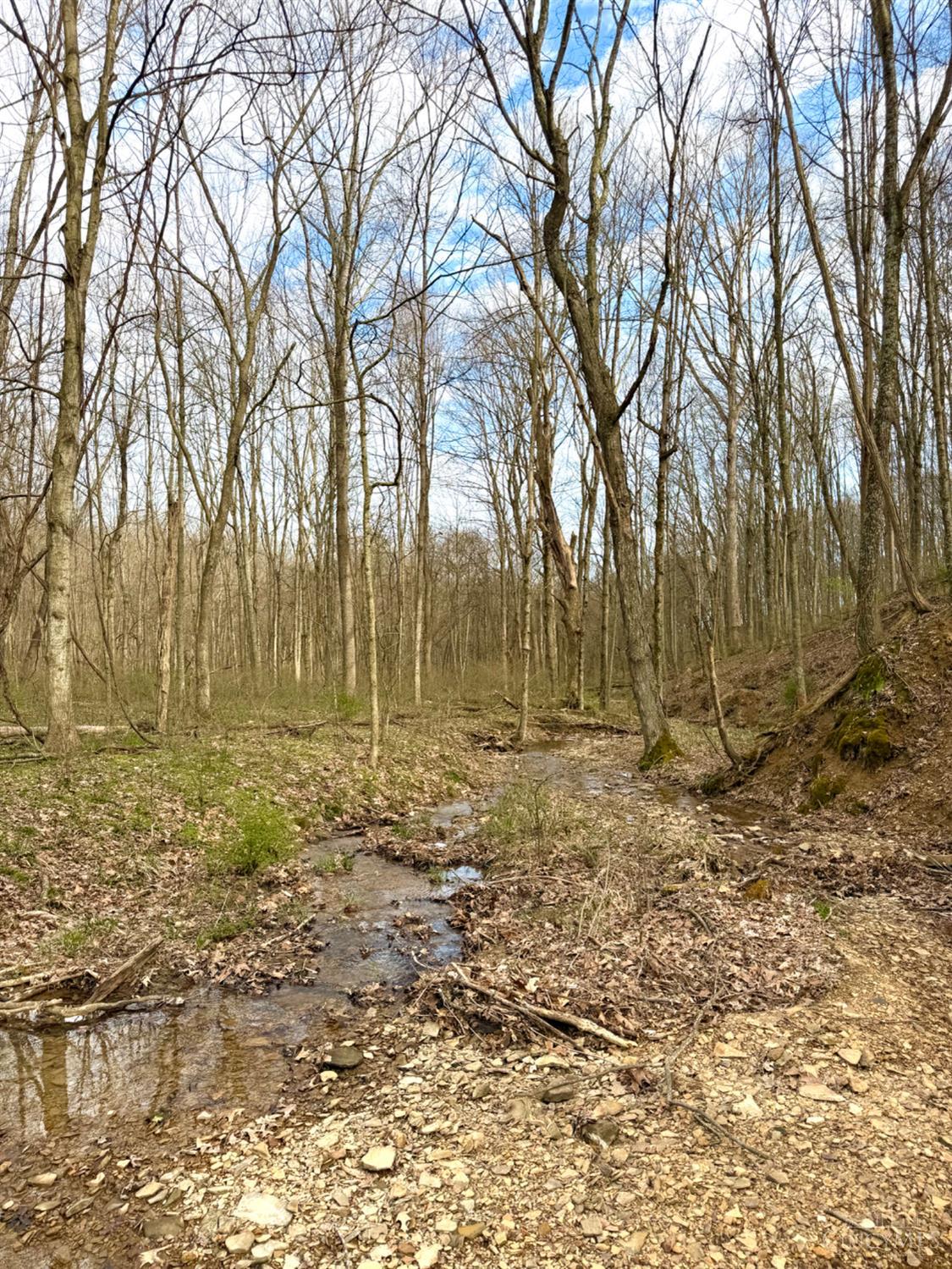 Fyffe Hollow Road, Franklin Twp, OH, 45601 — photo 82