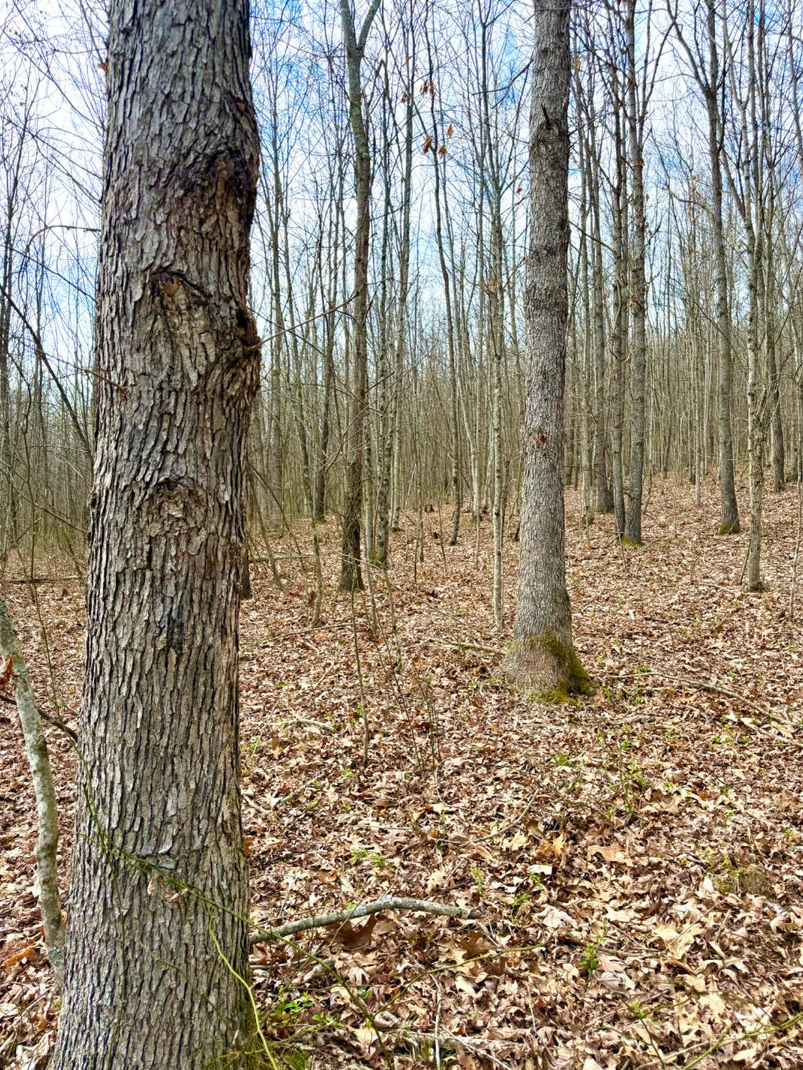 Fyffe Hollow Road, Franklin Twp, OH, 45601 — photo 55