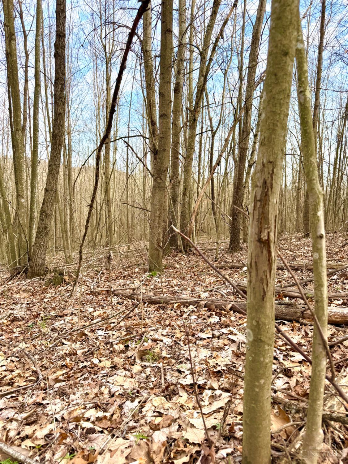 Fyffe Hollow Road, Franklin Twp, OH, 45601 — photo 24