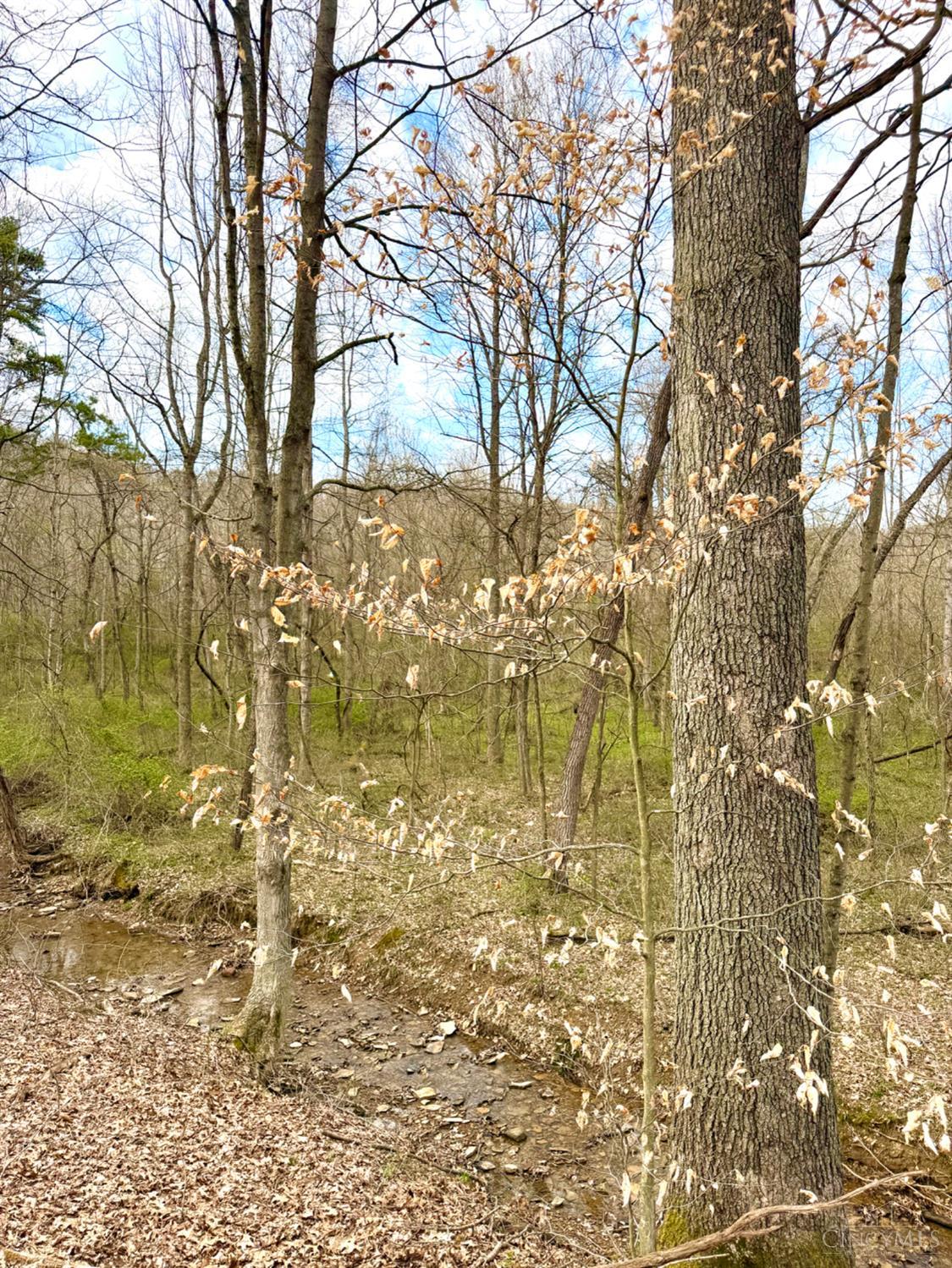 Fyffe Hollow Road, Franklin Twp, OH, 45601 — photo 12