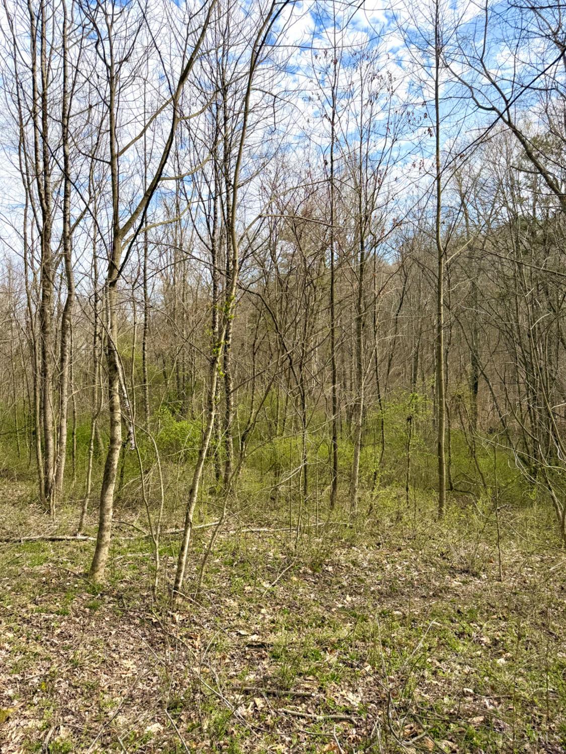 Fyffe Hollow Road, Franklin Twp, OH, 45601 — photo 60