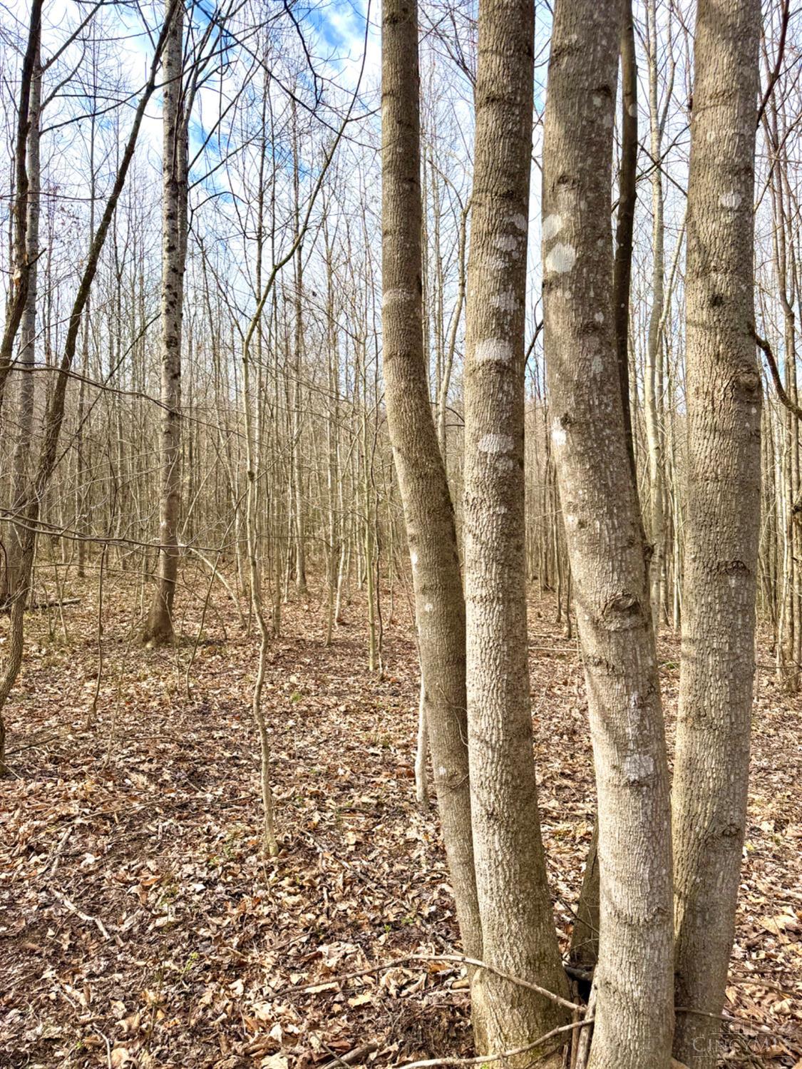 Fyffe Hollow Road, Franklin Twp, OH, 45601 — photo 84