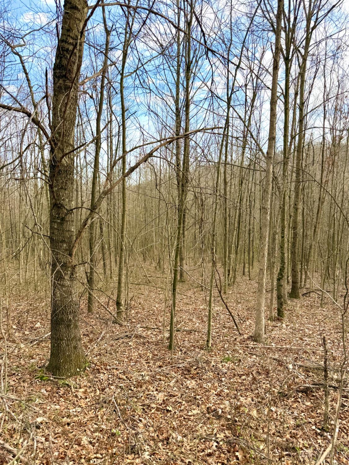 Fyffe Hollow Road, Franklin Twp, OH, 45601 — photo 87