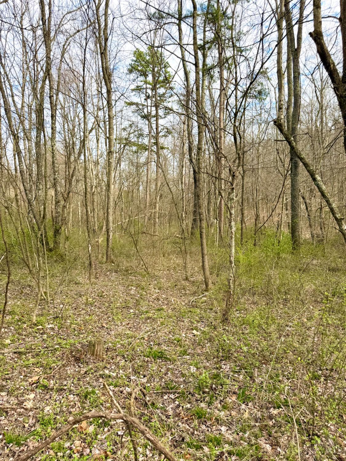 Fyffe Hollow Road, Franklin Twp, OH, 45601 — photo 61