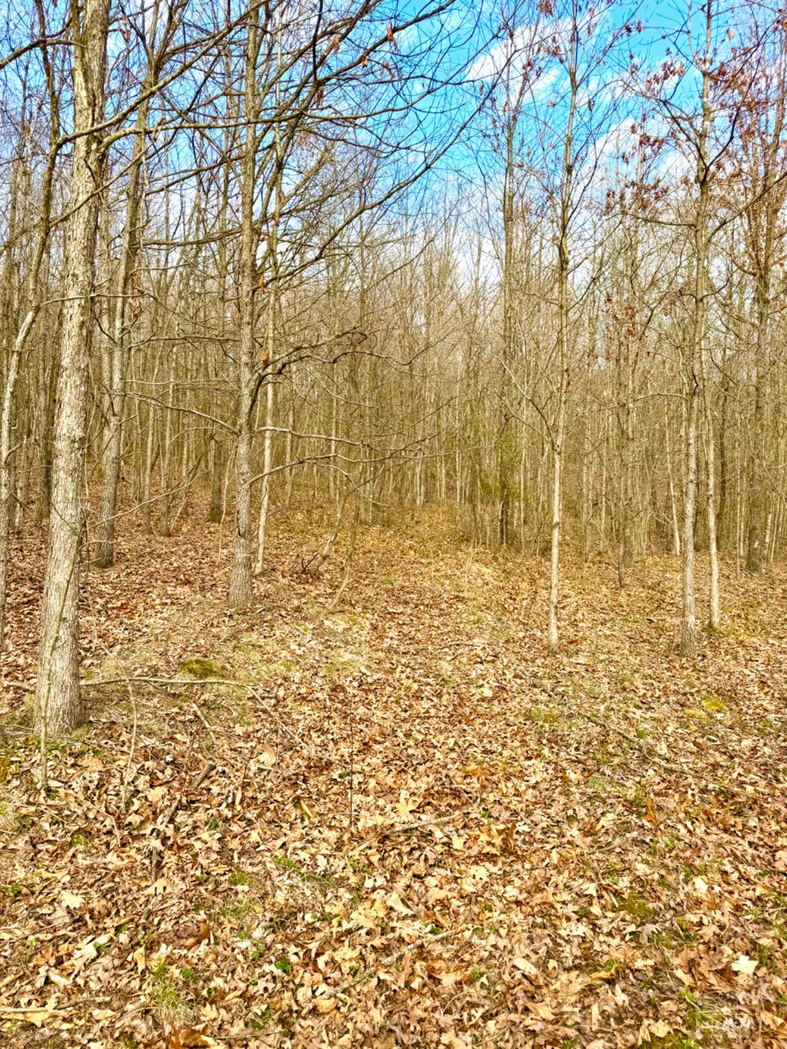 Fyffe Hollow Road, Franklin Twp, OH, 45601 — photo 52