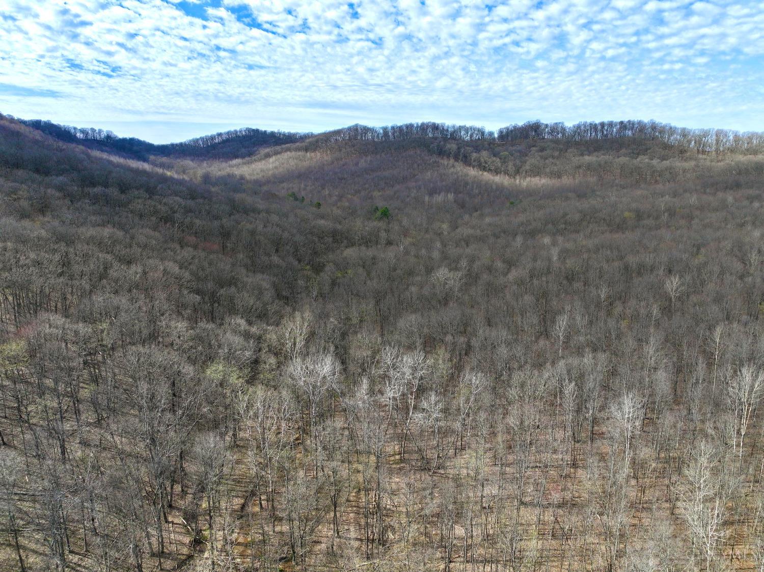 Fyffe Hollow Road, Franklin Twp, OH, 45601 — photo 33