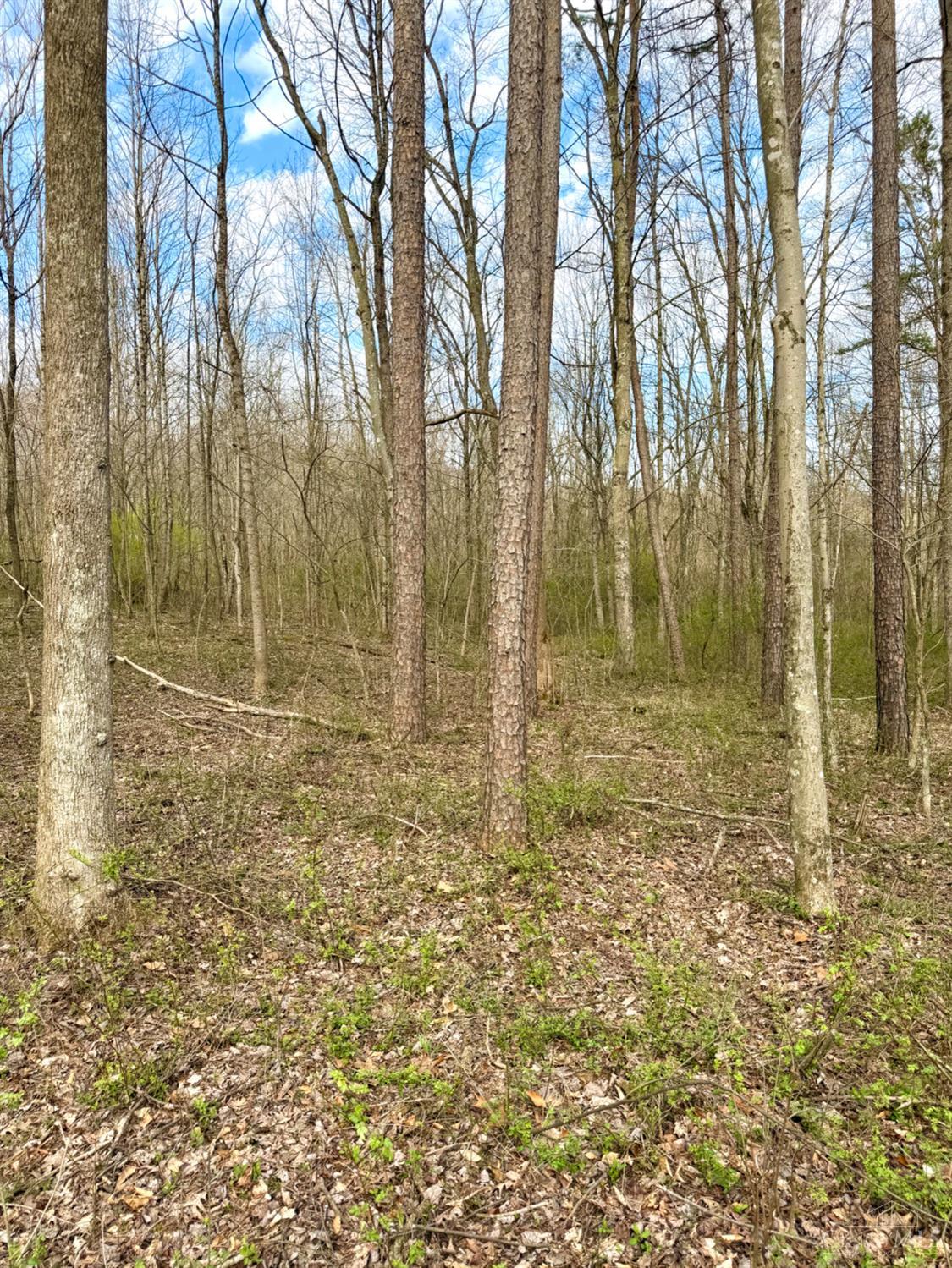 Fyffe Hollow Road, Franklin Twp, OH, 45601 — photo 10