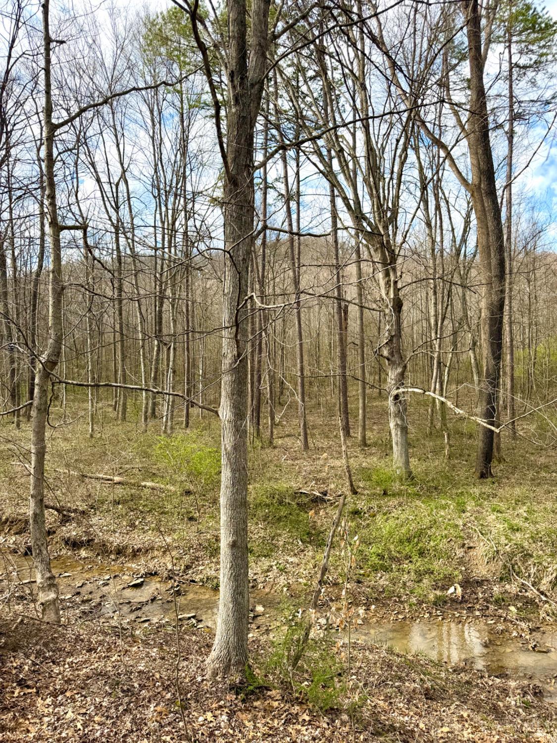 Fyffe Hollow Road, Franklin Twp, OH, 45601 — photo 72