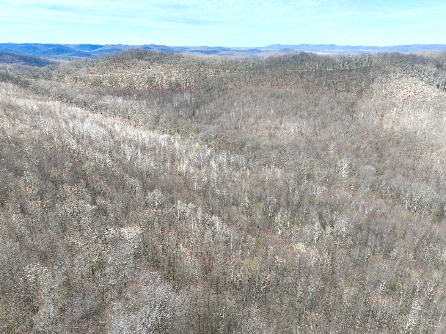 Fyffe Hollow Road, Franklin Twp, OH, 45601 — photo 38