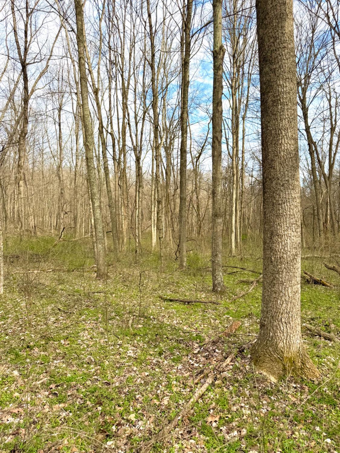 Fyffe Hollow Road, Franklin Twp, OH, 45601 — photo 15