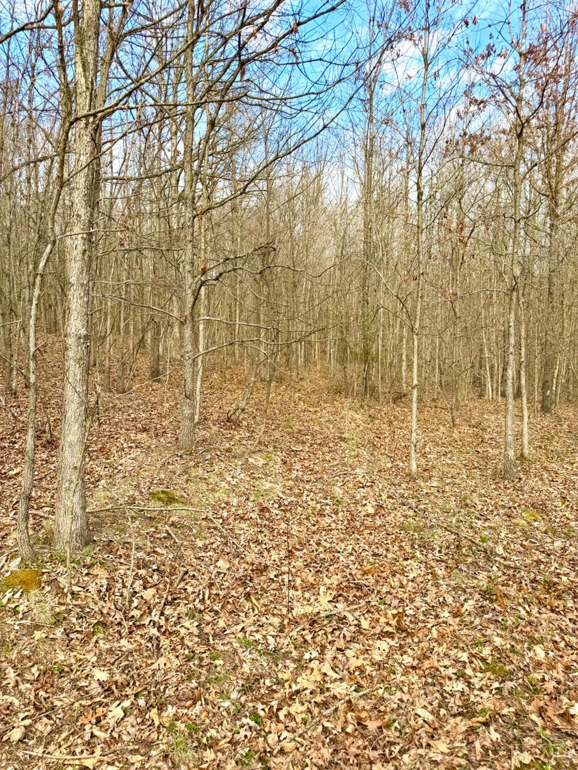 Fyffe Hollow Road, Franklin Twp, OH, 45601 — photo 53