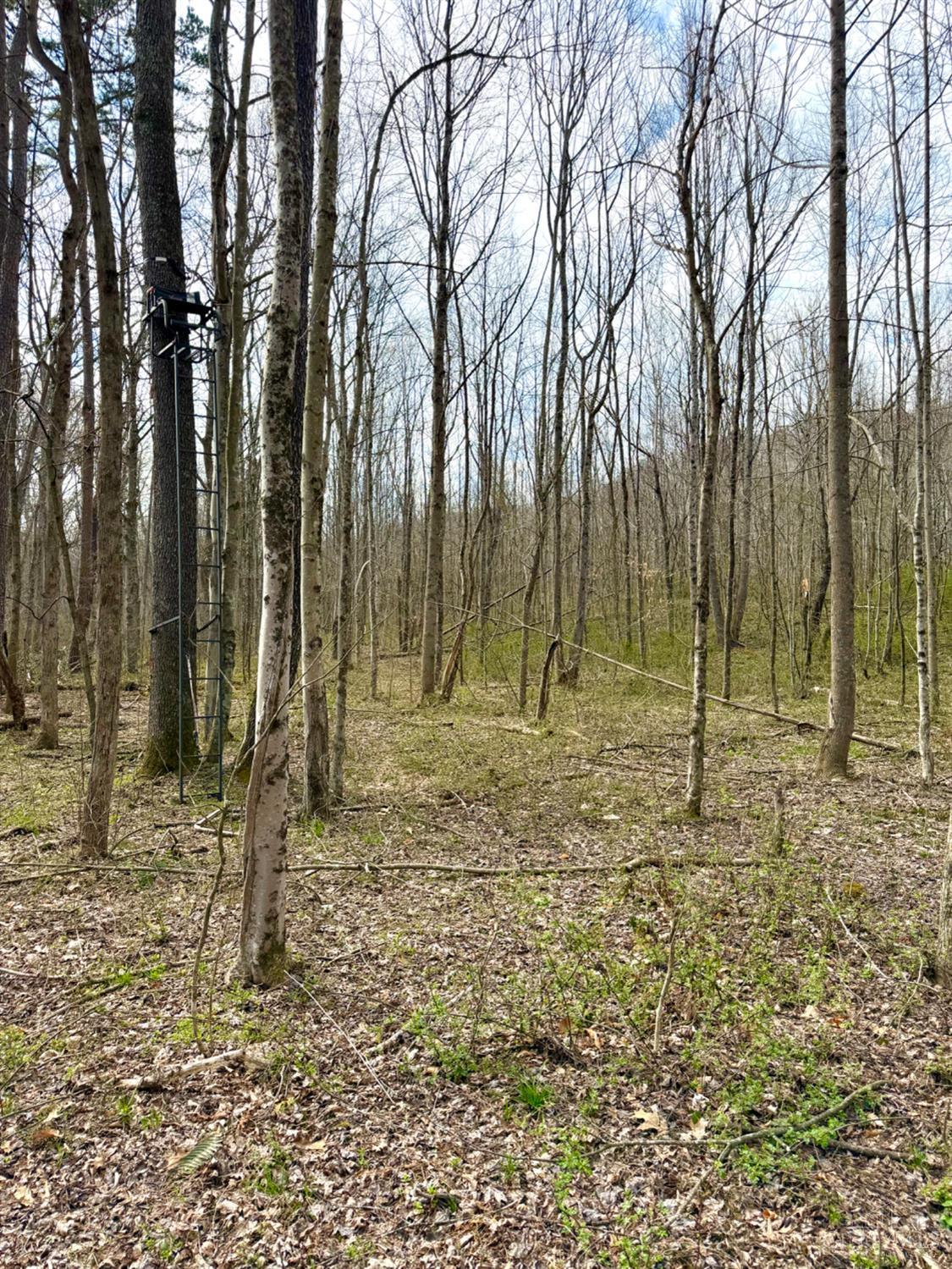 Fyffe Hollow Road, Franklin Twp, OH, 45601 — photo 64